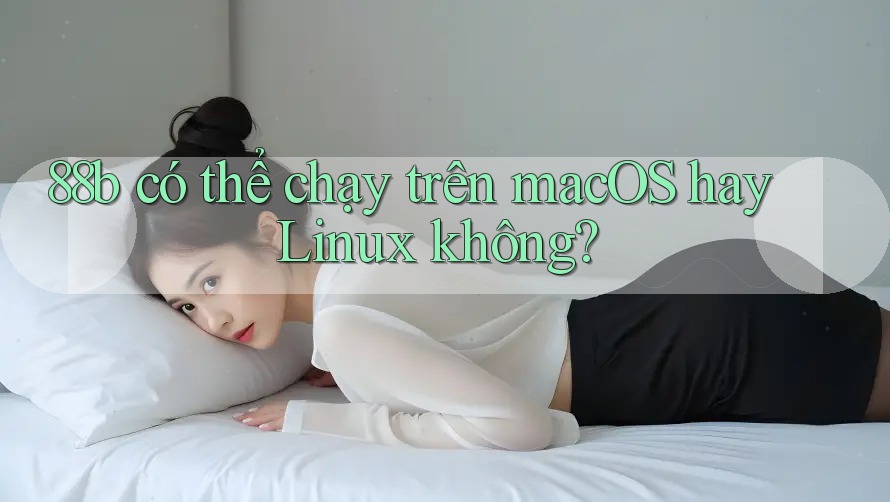 88b có thể chạy trên macOS hay Linux không?