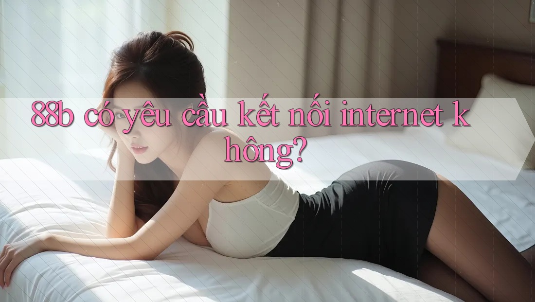 88b có yêu cầu kết nối internet không?