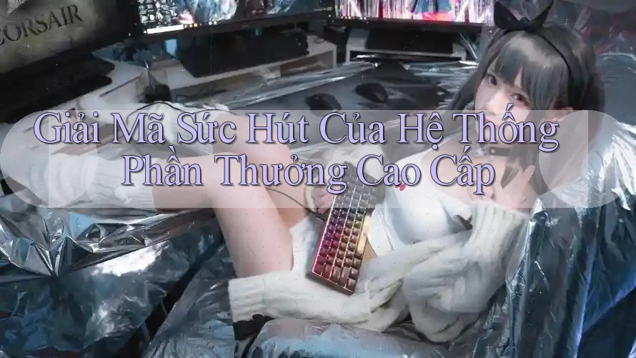 Giải Mã Sức Hút Của Hệ Thống Phần Thưởng Cao Cấp