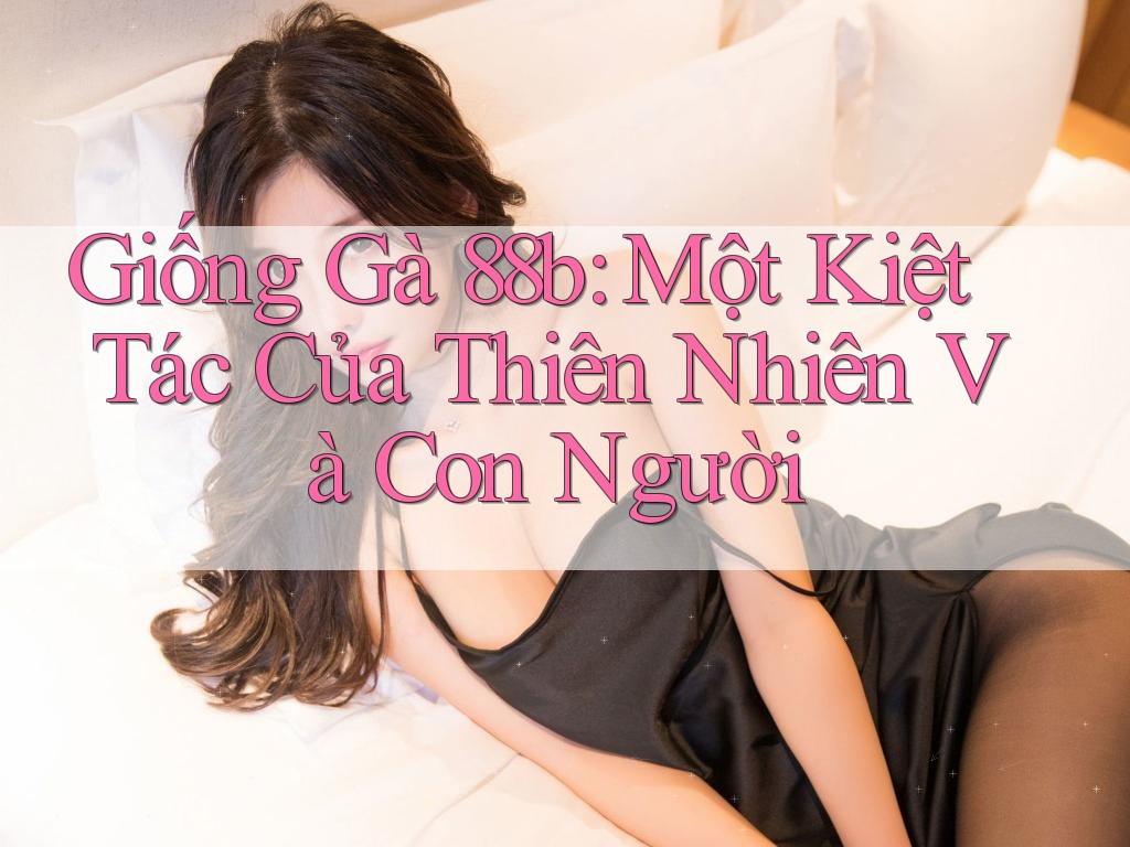 Giống Gà 88b: Một Kiệt Tác Của Thiên Nhiên Và Con Người