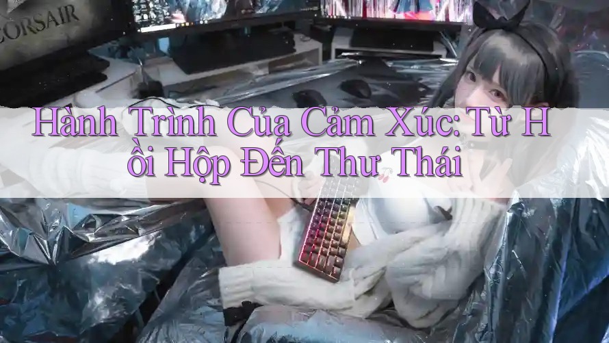 Hành Trình Của Cảm Xúc: Từ Hồi Hộp Đến Thư Thái