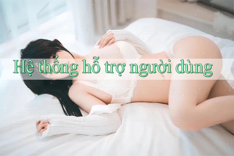 Hệ thống hỗ trợ người dùng