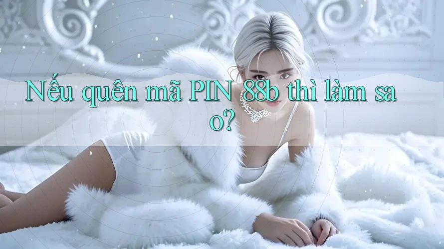 Nếu quên mã PIN 88b thì làm sao?