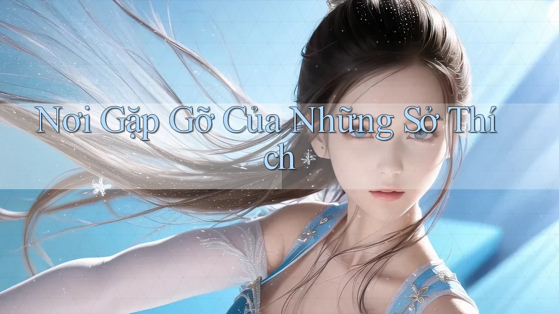 Nơi Gặp Gỡ Của Những Sở Thích