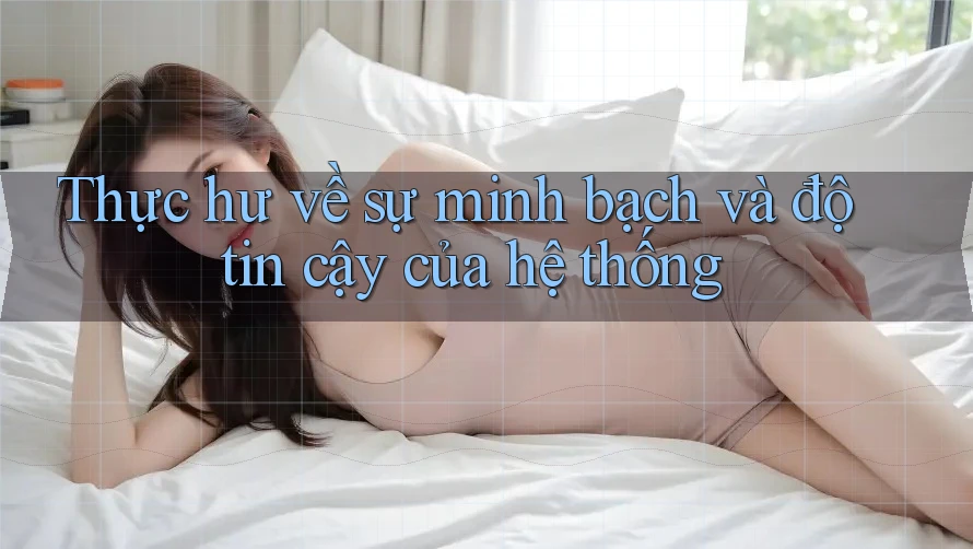Thực hư về sự minh bạch và độ tin cậy của hệ thống